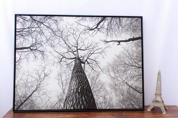 Quadro Tela Decorativa com Moldura Árvores em Preto e Branco 120x90cm - Decore pronto Menor preço em Quadro Tela Decorativa com Moldura Árvores em Preto e Branco 120x90cm - Decore pronto