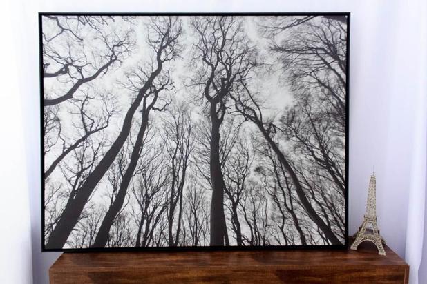 Quadro Tela Decorativa com Moldura Paisagem Floresta Árvores sem Folhas 150x115cm - Decore pronto Menor preço em Quadro Tela Decorativa com Moldura Paisagem Floresta Árvores sem Folhas 150x115cm - Decore pronto
