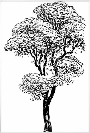 Quadro Tela Decorativa em Preto e Branco com Moldura Árvore 100x150cm - Decore pronto Menor preço em Quadro Tela Decorativa em Preto e Branco com Moldura Árvore 100x150cm - Decore pronto