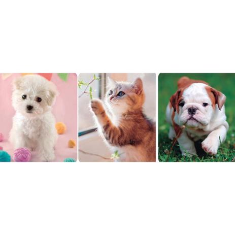 QUEBRA-CABECA Cartonado PETS Progressivo 30/45/56 PCS - Pais e filhos Menor preço em QUEBRA-CABECA Cartonado PETS Progressivo 30/45/56 PCS - Pais e filhos