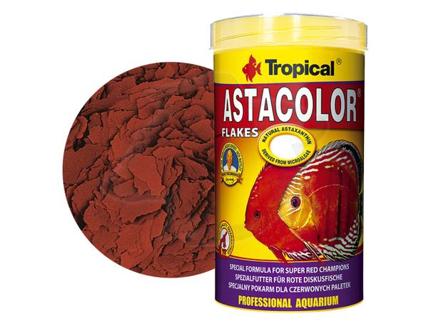 Ração Para Acará Disco - Tropical Asta Color 100g - Betta e cia Menor preço em Ração Para Acará Disco - Tropical Asta Color 100g - Betta e cia