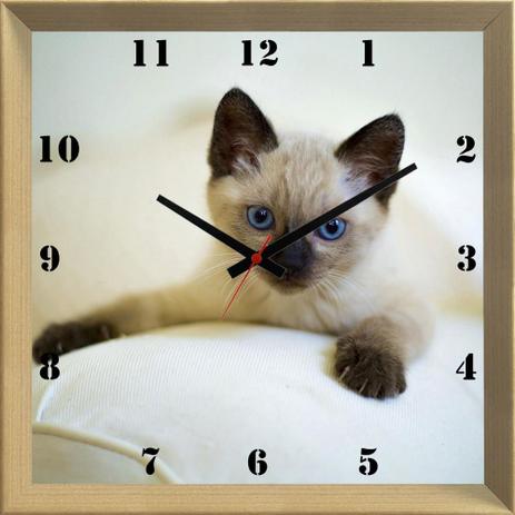 Relógio de Parede Personalizado Criativo Pet Gato Filhote 30x30cm - Decore pronto Menor preço em Relógio de Parede Personalizado Criativo Pet Gato Filhote 30x30cm - Decore pronto