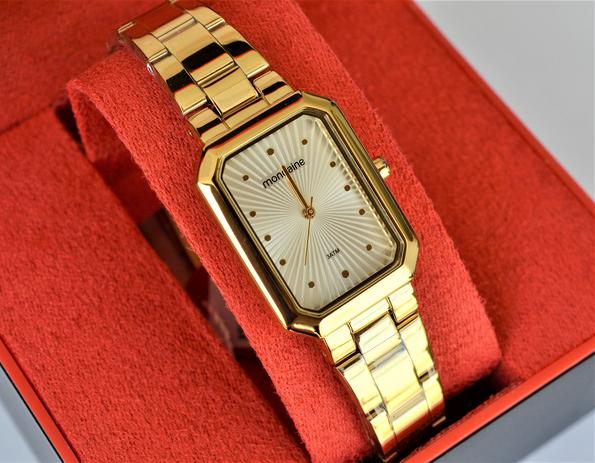 omega seamaster professional