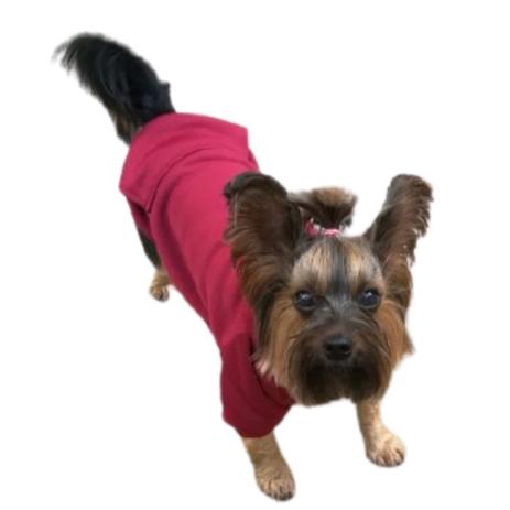 ac dc dog moletom com capuz