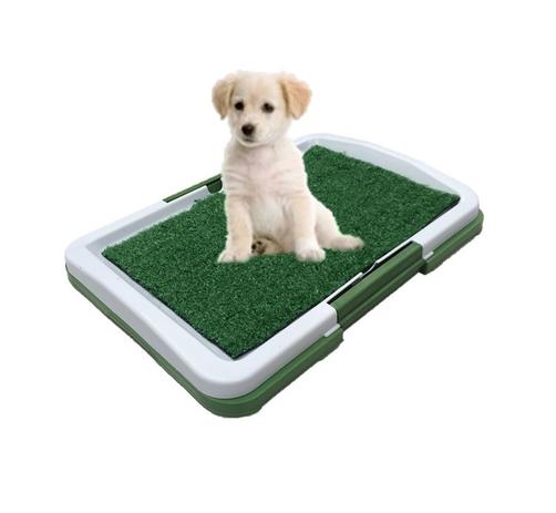 Sanitário Tapete Higiênico com Bandeja Lavável para Cães - Horizonte é boa?