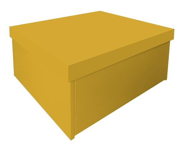 Sapateira Box Baú Caixa Organizadora para Sapatos - Amarelo - Formalivre Menor preço em Sapateira Box Baú Caixa Organizadora para Sapatos - Amarelo - Formalivre