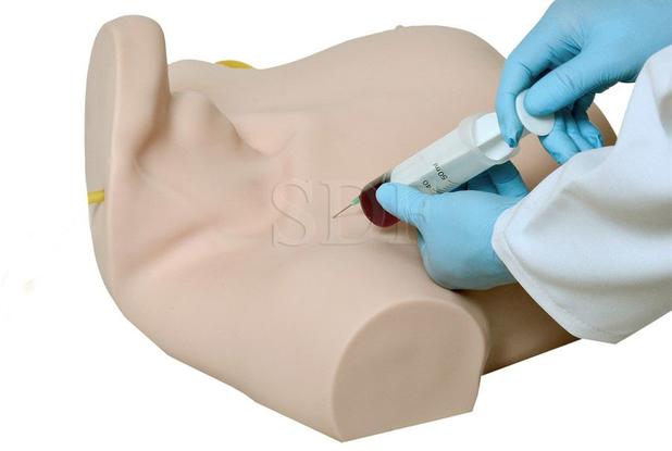 Simulador de Cateterismo Venoso Central - SDORF Scientific é boa?