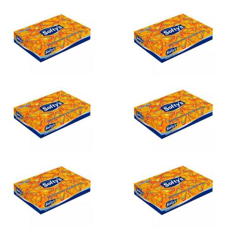Softys Lenços De Papel 21x14,8cm C/50 (Kit C/06) Menor preço em Softys Lenços De Papel 21x14,8cm C/50 (Kit C/06)