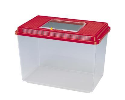 [object Object] é boa?