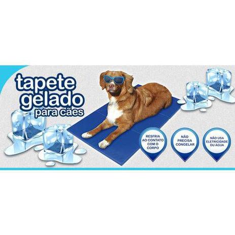 Tapete gelado refrescante 65 cm x 50 cm pet cães e gatos - Click urbano Menor preço em Tapete gelado refrescante 65 cm x 50 cm pet cães e gatos - Click urbano