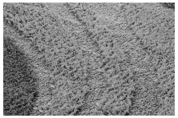 Tapete Para Sala Quarto Cinza 2,00x1,50m Alto Relevo Oásis é ruim? Tapete Para Sala Quarto Cinza 2,00x1,50m Alto Relevo Oásis é boa?