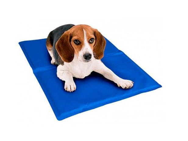 Tapete pet refrescante Clearance