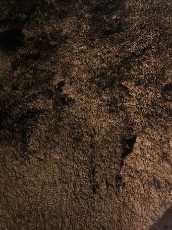 Tapete Quarto Sala Retangular Peludo Felpudo Marrom 60X2M - Edantex é ruim? Tapete Quarto Sala Retangular Peludo Felpudo Marrom 60X2M - Edantex é boa?