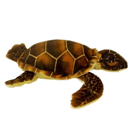 [object Object] é boa?