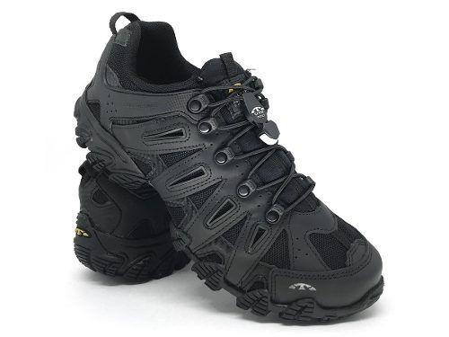 tenis bull terrier dragon