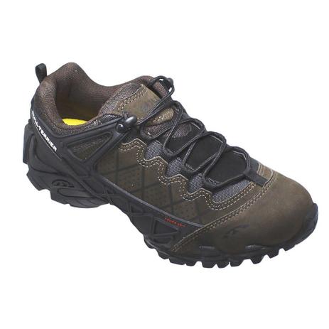 bull terrier extreme low