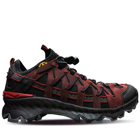 bull terrier tenis vermelho