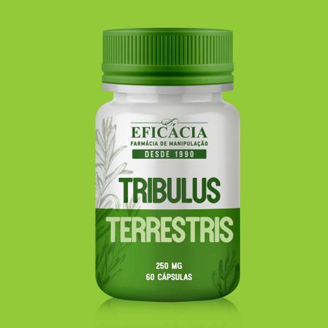 Tribulus Terrestris 250mg - 60 Cápsulas - Farmácia eficácia é ruim? Tribulus Terrestris 250mg - 60 Cápsulas - Farmácia eficácia é boa?