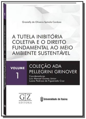 Tutela inibitoria coletiva e o direito fundamental - Gz editora Menor preço em Tutela inibitoria coletiva e o direito fundamental - Gz editora
