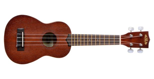 Image result for ukulele