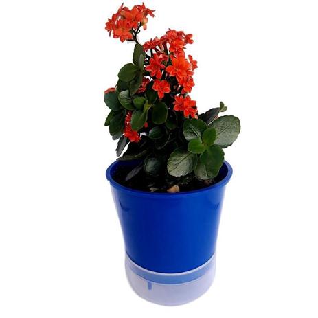Vaso Auto Irrigável Anti Mosquito 15 cm De Altura - Kit Com 25 Unidades ACOMPANHA SUPORTES DE BRINDE - Armazem do verde Menor preço em Vaso Auto Irrigável Anti Mosquito 15 cm De Altura - Kit Com 25 Unidades ACOMPANHA SUPORTES DE BRINDE - Armazem do verde