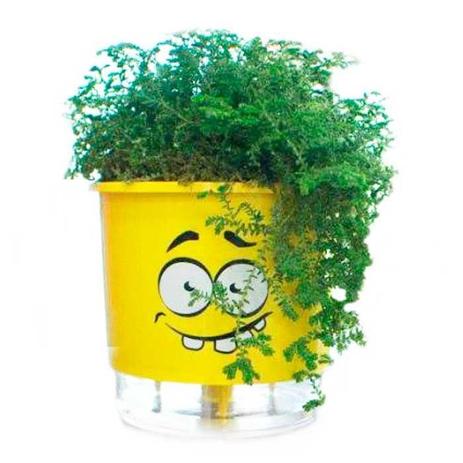 Vaso Auto Irrigável Cabelokos ABOBADO Amarelo N01 - Mini 10x9 - Raíz vasos autoirrigáveis Menor preço em Vaso Auto Irrigável Cabelokos ABOBADO Amarelo N01 - Mini 10x9 - Raíz vasos autoirrigáveis