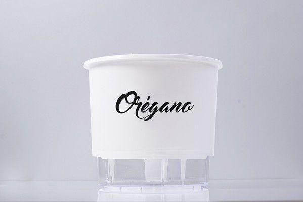 Vaso Auto Irrigável Gourmet N03 - Médio - Raiz Branco Menor preço em Vaso Auto Irrigável Gourmet N03 - Médio - Raiz Branco