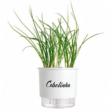 Vaso Auto Irrigável Linha Gourmet Branco Cebolinha N03 Médio 16x14 - Raíz vasos autoirrigáveis Menor preço em Vaso Auto Irrigável Linha Gourmet Branco Cebolinha N03 Médio 16x14 - Raíz vasos autoirrigáveis