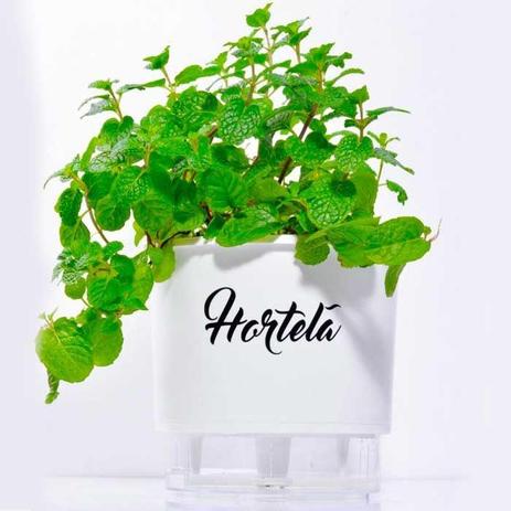 Vaso Auto Irrigável Linha Gourmet Branco Hortelã N03 Médio 16x14 - Raíz vasos autoirrigáveis Menor preço em Vaso Auto Irrigável Linha Gourmet Branco Hortelã N03 Médio 16x14 - Raíz vasos autoirrigáveis
