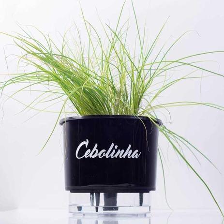 Vaso Auto Irrigável Linha Gourmet Cebolinha N03 Médio 16x14 - Raíz vasos autoirrigáveis Menor preço em Vaso Auto Irrigável Linha Gourmet Cebolinha N03 Médio 16x14 - Raíz vasos autoirrigáveis