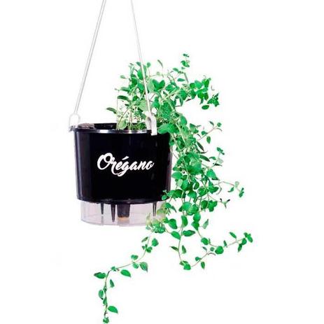 Vaso Auto Irrigável Linha Gourmet Orégano N03 Médio 16x14 - Raíz vasos autoirrigáveis Menor preço em Vaso Auto Irrigável Linha Gourmet Orégano N03 Médio 16x14 - Raíz vasos autoirrigáveis