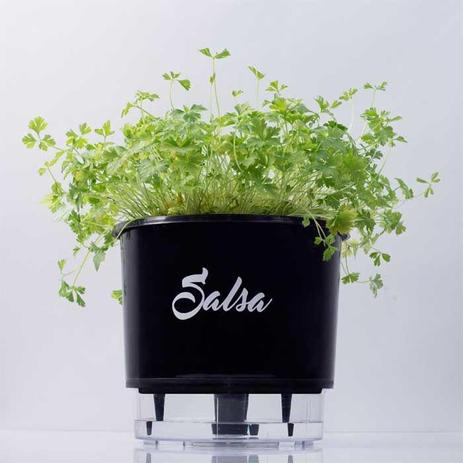 Vaso Auto Irrigável Linha Gourmet Salsa N03 Médio 16x14 - Raíz vasos autoirrigáveis Menor preço em Vaso Auto Irrigável Linha Gourmet Salsa N03 Médio 16x14 - Raíz vasos autoirrigáveis