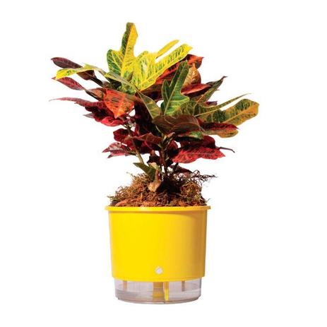 Vaso Auto Irrigável Raiz N02 Amarelo Pequeno 12x11 - Raíz vasos autoirrigáveis Menor preço em Vaso Auto Irrigável Raiz N02 Amarelo Pequeno 12x11 - Raíz vasos autoirrigáveis