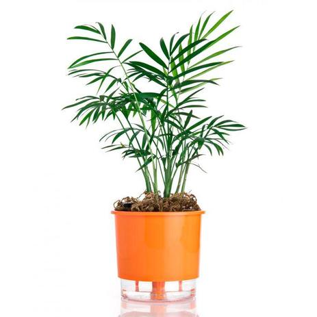 Vaso Auto Irrigável Raiz N04 Laranja Grande 19x22 - Raíz vasos autoirrigáveis Menor preço em Vaso Auto Irrigável Raiz N04 Laranja Grande 19x22 - Raíz vasos autoirrigáveis