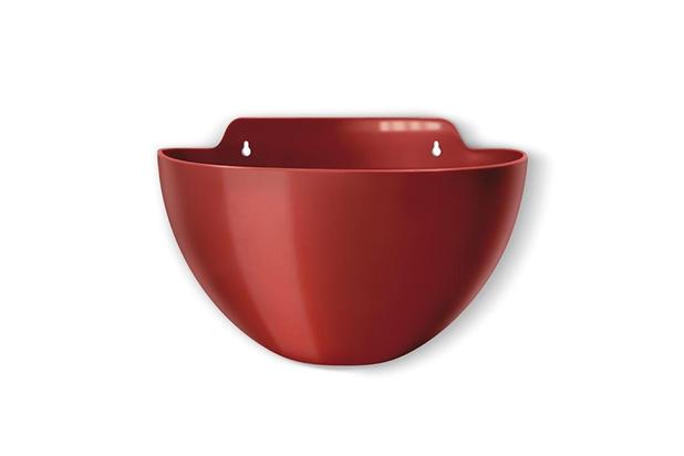 Vaso cachepô de parede elegance mini vermelho - Nutriplan Menor preço em Vaso cachepô de parede elegance mini vermelho - Nutriplan
