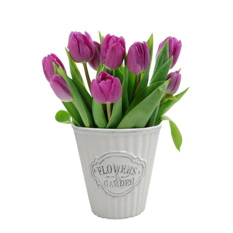 Vaso cachepot ceramica cute pleat bucket branco - Urban Menor preço em Vaso cachepot ceramica cute pleat bucket branco - Urban