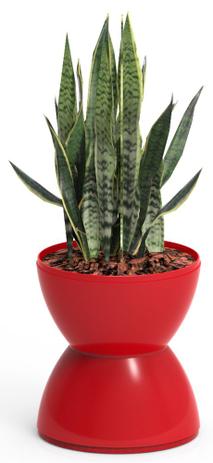 Vaso-cachepots Hydro vermelho - Im in é boa?