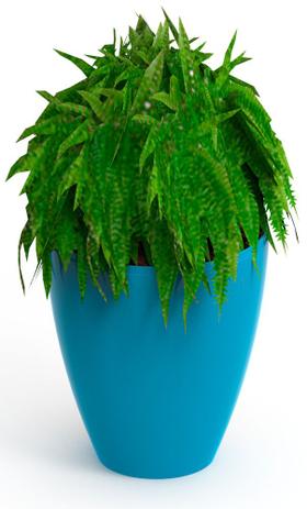 Vaso-cachepots Moly azul - Im in é boa?