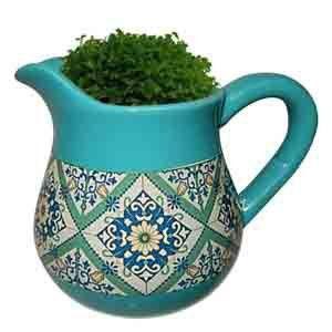 [object Object] é boa?