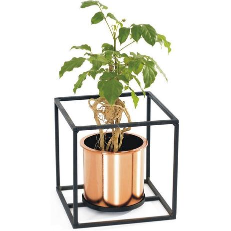 [object Object] é boa?