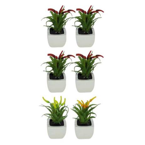 Vaso Decorativo Branco Planta Suculenta Pimenta Colorida 12 cm com 6 Unidades - DRossi Menor preço em Vaso Decorativo Branco Planta Suculenta Pimenta Colorida 12 cm com 6 Unidades - DRossi