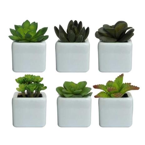 Vaso Decorativo Branco Planta Suculenta Sortida Verde 8cm com 6 Unidades - Flor arte Menor preço em Vaso Decorativo Branco Planta Suculenta Sortida Verde 8cm com 6 Unidades - Flor arte