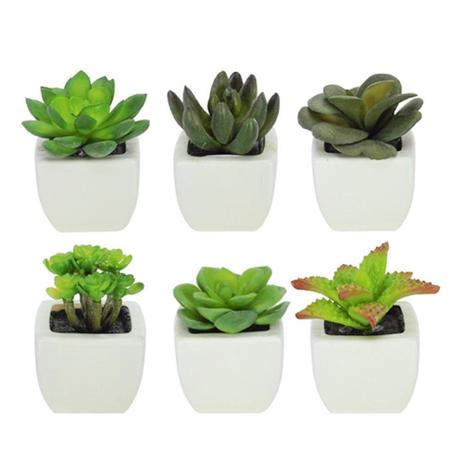 Vaso Decorativo Plástico Branco Planta Suculenta Sortida Verde 9 cm com 6 Unidades - DRossi - Flor arte Menor preço em Vaso Decorativo Plástico Branco Planta Suculenta Sortida Verde 9 cm com 6 Unidades - DRossi - Flor arte