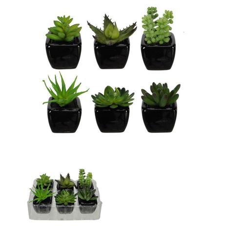 Vaso Decorativo Preto Planta Suculenta Sortida Verde 9cm com 6 Unidades - Flor arte Menor preço em Vaso Decorativo Preto Planta Suculenta Sortida Verde 9cm com 6 Unidades - Flor arte