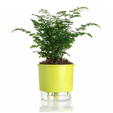 Vaso p/ Plantas Autoirrigável Tamanho Grande 22x18 - Utifácil Menor preço em Vaso p/ Plantas Autoirrigável Tamanho Grande 22x18 - Utifácil
