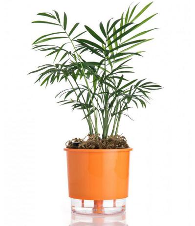 Vaso p/ Plantas Autoirrigável Tamanho Médio 16x14 - Utifácil Menor preço em Vaso p/ Plantas Autoirrigável Tamanho Médio 16x14 - Utifácil