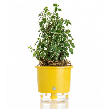 Vaso p/ Plantas Autoirrigável Tamanho Pequeno 12x11 - Utifácil Menor preço em Vaso p/ Plantas Autoirrigável Tamanho Pequeno 12x11 - Utifácil