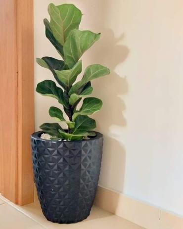 vaso para decoração plantas naturais artificiais em polietileno tipo coluna redondo - baeart minas é boa?