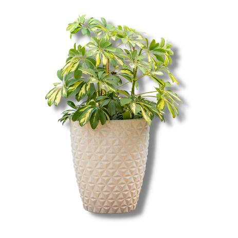 Vaso Para Plantas Polietileno Decorativo Redondo Grande N3 - ArteDecore Menor preço em Vaso Para Plantas Polietileno Decorativo Redondo Grande N3 - ArteDecore