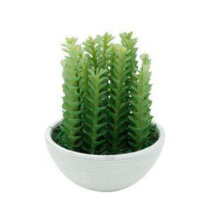 Vaso plástico/metal haworthia plant branco/verde 13,5x13,5x18cm - Urban é ruim? Vaso plástico/metal haworthia plant branco/verde 13,5x13,5x18cm - Urban é boa?